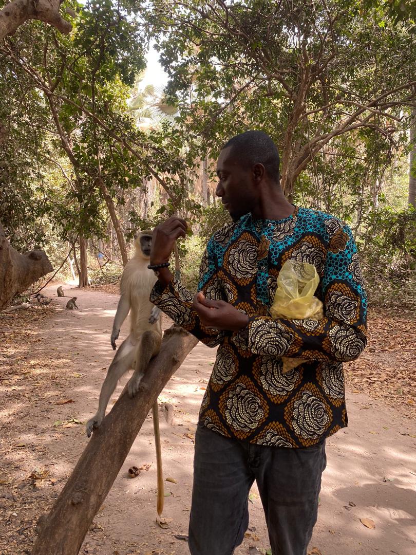 Apen tour Gambia