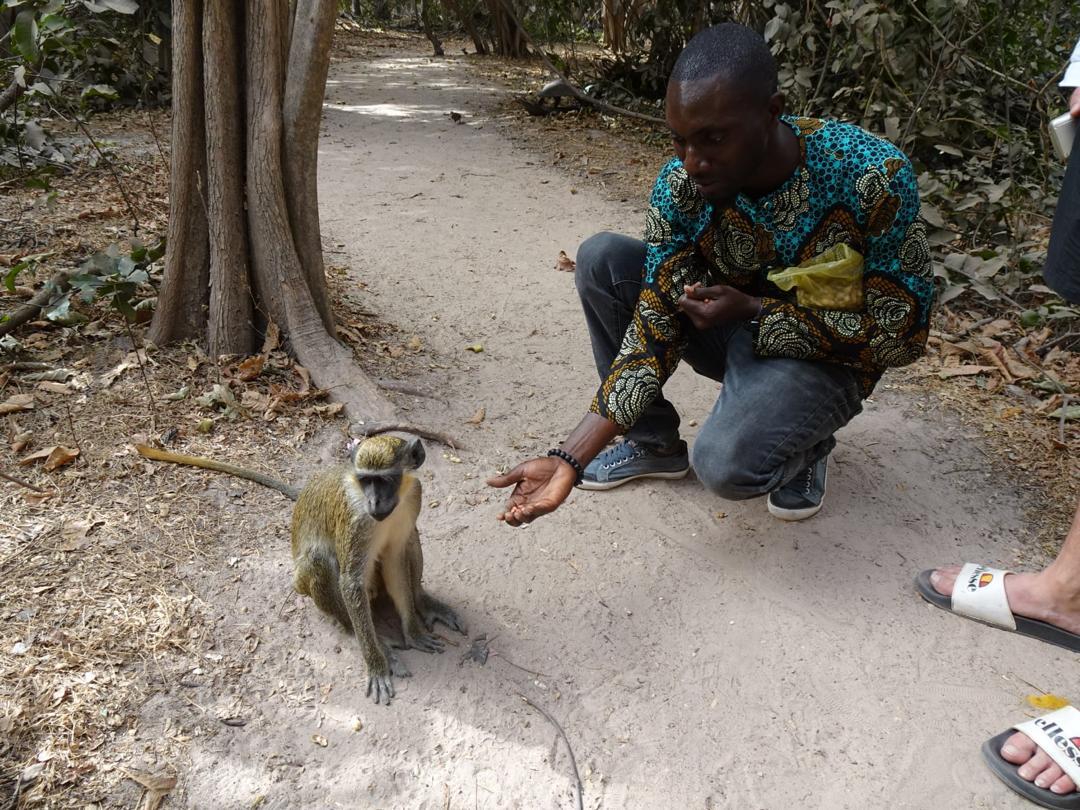 Aap tour Gambia